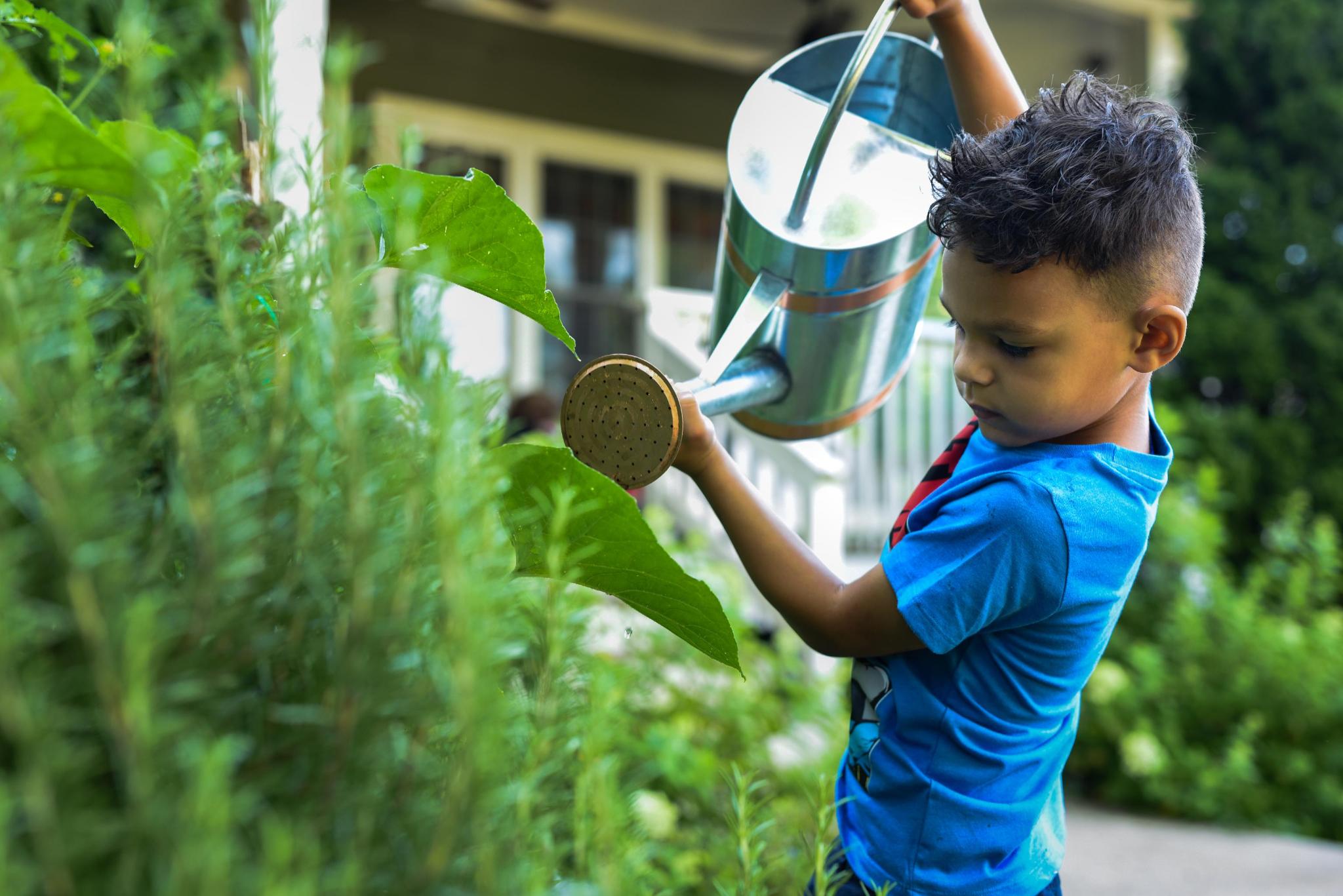 Child watering plants